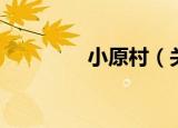 小原村（关于小原村介绍）