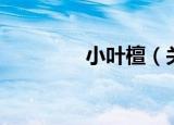小叶檀（关于小叶檀介绍）