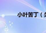小叶苦丁（关于小叶苦丁介绍）