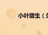 小叶增生（关于小叶增生介绍）