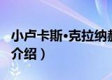 小卢卡斯·克拉纳赫（关于小卢卡斯·克拉纳赫介绍）