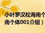 小叶罗汉松海南个体001（关于小叶罗汉松海南个体001介绍）