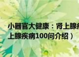 小器官大健康：肾上腺疾病100问（关于小器官大健康：肾上腺疾病100问介绍）
