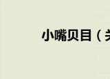 小嘴贝目（关于小嘴贝目介绍）