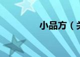 小品方（关于小品方介绍）