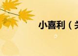 小喜利（关于小喜利介绍）