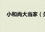 小和尚大当家（关于小和尚大当家介绍）