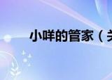 小咩的管家（关于小咩的管家介绍）