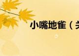 小嘴地雀（关于小嘴地雀介绍）