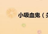 小吸血鬼（关于小吸血鬼介绍）