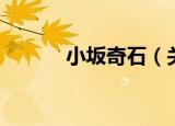小坂奇石（关于小坂奇石介绍）
