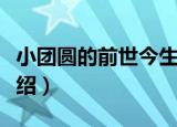 小团圆的前世今生（关于小团圆的前世今生介绍）