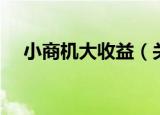 小商机大收益（关于小商机大收益介绍）
