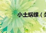 小土蜗螺（关于小土蜗螺介绍）