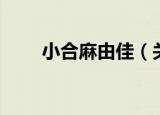 小合麻由佳（关于小合麻由佳介绍）