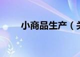小商品生产（关于小商品生产介绍）