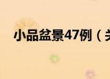 小品盆景47例（关于小品盆景47例介绍）