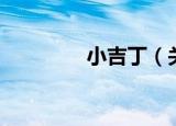 小吉丁（关于小吉丁介绍）