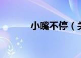 小嘴不停（关于小嘴不停介绍）