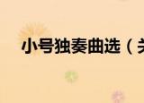 小号独奏曲选（关于小号独奏曲选介绍）