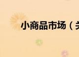 小商品市场（关于小商品市场介绍）