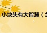 小块头有大智慧（关于小块头有大智慧介绍）