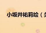 小坂井祐莉绘（关于小坂井祐莉绘介绍）