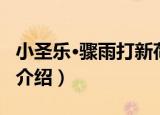 小圣乐·骤雨打新荷（关于小圣乐·骤雨打新荷介绍）