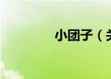 小团子（关于小团子介绍）