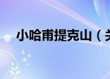 小哈甫提克山（关于小哈甫提克山介绍）