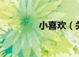 小喜欢（关于小喜欢介绍）