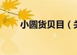 小圆货贝目（关于小圆货贝目介绍）
