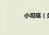小司寇（关于小司寇介绍）