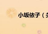 小坂依子（关于小坂依子介绍）