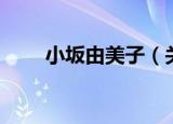 小坂由美子（关于小坂由美子介绍）