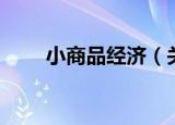 小商品经济（关于小商品经济介绍）