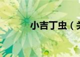 小吉丁虫（关于小吉丁虫介绍）