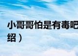 小哥哥怕是有毒吧（关于小哥哥怕是有毒吧介绍）