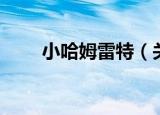 小哈姆雷特（关于小哈姆雷特介绍）