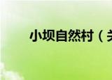 小坝自然村（关于小坝自然村介绍）