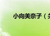 小向美奈子（关于小向美奈子介绍）