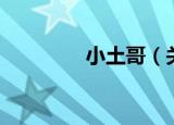 小土哥（关于小土哥介绍）