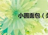 小圆面包（关于小圆面包介绍）