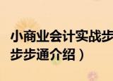 小商业会计实战步步通（关于小商业会计实战步步通介绍）
