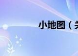 小地图（关于小地图介绍）