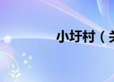 小圩村（关于小圩村介绍）