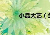 小品大艺（关于小品大艺介绍）