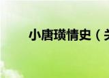 小唐璜情史（关于小唐璜情史介绍）