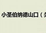 小圣伯纳德山口（关于小圣伯纳德山口介绍）