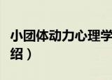 小团体动力心理学（关于小团体动力心理学介绍）